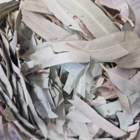 تصویر برگ اکالیپتوس یک کیلو 