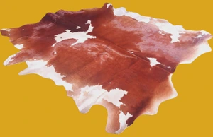 تصویر فروشگاه دیجی فرش 007