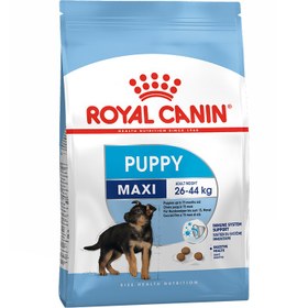 تصویر غذا خشک سگ رویال کنین مکسی پاپی وزن 4 کیلوگرم ا ROYAL CANIN maxi puppy dry food 4kg ROYAL CANIN maxi puppy dry food 4kg