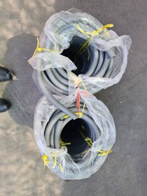 تصویر خرطومی 16 نقره ای 