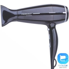 تصویر سشوار پرینسلی مدل PR238 ا Princely PR238 Hair Dryer Princely PR238 Hair Dryer