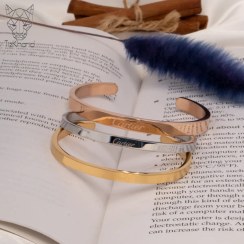 تصویر دستبند النگویی کارتیر Love bangle bangle bracelet Love cartier