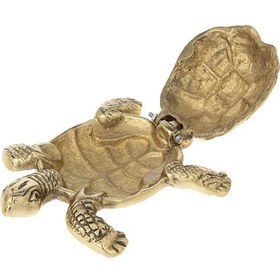 تصویر زیر سیگاری لاکپشت 