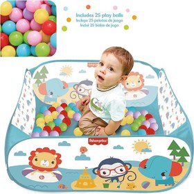 تصویر استخر توپ بازی کودک فیشر پرایش Fisher Price - همراه با ۲۵ توپ رنگی و کیف حمل + ارسال رایگان + هدیه 