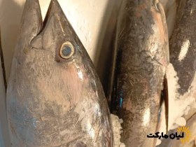 تصویر ماهی هوور وزن ۵ کیلوگرم 