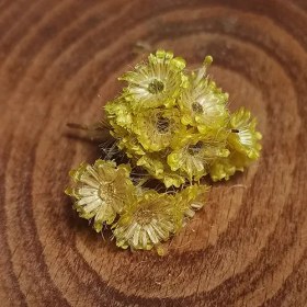 تصویر افسنتین 