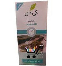 تصویر شامپو اکالیتوس کی دی kd - ضد شوره موی چرب 