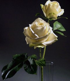 تصویر بودکور سیلیکونی گل رز مدل 2100125 