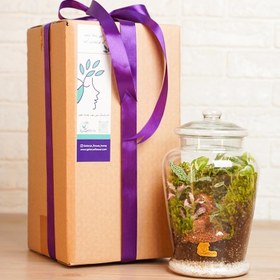 تصویر تراریوم مدل توکیو 