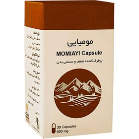 تصویر کپسول مومیایی شفانگر Schfanger's mummy capsule