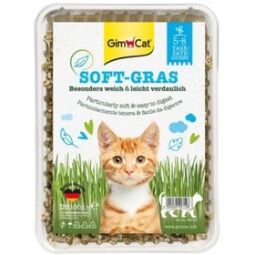 تصویر بذر علف گربه جیم کت ساده 100 گرم GimCat Soft Gras