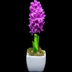 تصویر مجسمه سنبل 