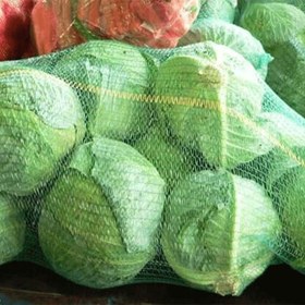 تصویر توری کلم 