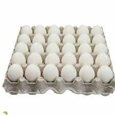 تصویر تخم مرغ فله کد 001 مقدار 1 کیلوگرم _ حداقل مقدار خرید 2000 کیلوگرم 