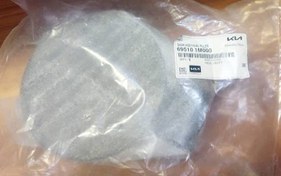 تصویر درب باک بیرونی سراتو 695101M000 GENUINEPARTS