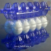 تصویر ظرف تخم مرغ 10 عددی 