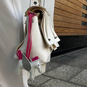 تصویر چارم بگ‌ هرمس 