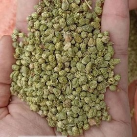 تصویر سبزی معطر اورگانو توپی 100 گرمی درشت ایتالیایی 