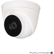 تصویر ماکت دوربین مداربسته دام(سقفی) و بولت(دیواری) - دام(سقفی) CCTV replica