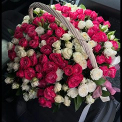 تصویر سبد گل شهلا 