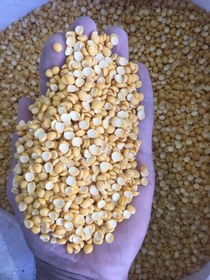 تصویر لپه تبریز ۱ کیلویی 