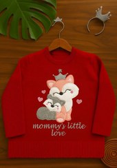 تصویر بافت دو روباه دخترانه 