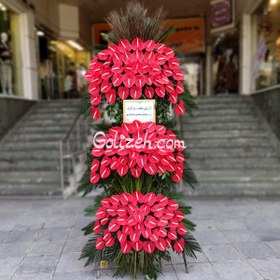 تصویر گل افتتاحیه بهرام 