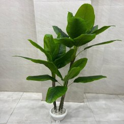 تصویر درختچه مصنوعی کنیتا 