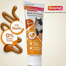 تصویر خمیر مالت مولتی ویتامین گربه بیفار 100 گرم Beaphar Duo-Active Multi Vitamin 100g