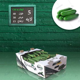 تصویر جعبه لمینیتی کارتن خیار Cucumber