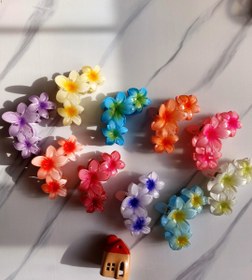 تصویر کلیپس پلومریا ۳ گل - آیی 