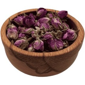 تصویر غنچه گل محمدی 