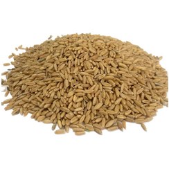 تصویر گندم مرغی 5 کیلویی 