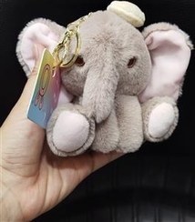 تصویر جا کلیدی پولیشی فیل 