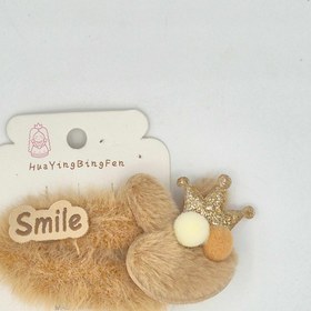 تصویر گیره سر پولیشی تاج دار 