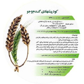 تصویر کود گندم و جو تتاکو مدل GROWFAST وزن 10 کیلوگرم 