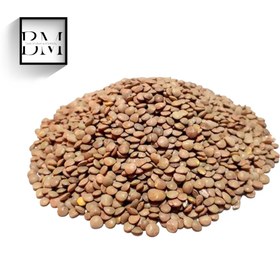 تصویر عدس درجه 1 - 500گرم 