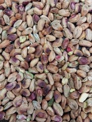 تصویر مغز پسته دهن بست شکن دهنبست فندقی سایز متوسط