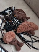 تصویر چارم بگ 