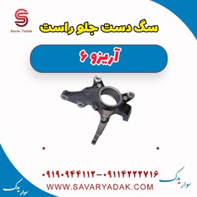 تصویر سگ دست جلو راست آریزو 6 