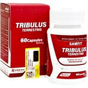 تصویر کپسول تریبولوس برسام فارمد 60 عدد Barsam Pharmed Samfit Tribulus 60 Capsules