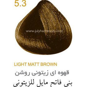 تصویر رنگ مو جولای قهوه ای زیتونی روشن 5.3 حجم 100 میل Light Matt Brown July 