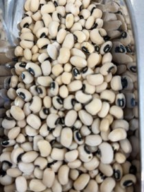 تصویر لوبیا چشم بلبلی 