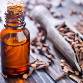 تصویر روغن میخک 