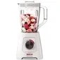 تصویر مخلوط کن تفال مدل BL4208 Tefal BL4208 Blender