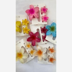 تصویر ست کلیپس مادر دختری پلومریا 