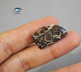 تصویر فسیل سنگی توریتلا 4.4 گرم 