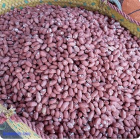 تصویر بادام زمینی درجه یک (تازه و برشته) سوغات آستانه First-class peanuts (fresh and roasted) Astana Ashrafiyeh souvenirs