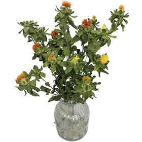 تصویر گل خشک گلرنگ 