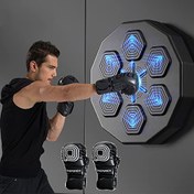 تصویر کیسه بوکس دیواری هوشمند موزیکال Musical intelligent boxing machine